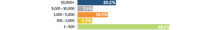 Organization Size