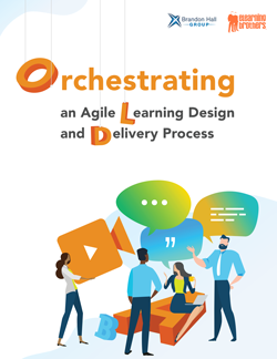 Orchestrating an Agile Learning & Delivery Process
