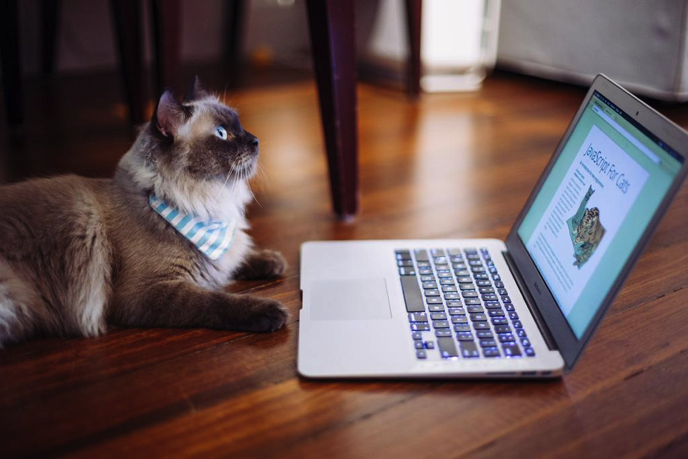JavaScript for Cats is a silly name but a serious tutorial