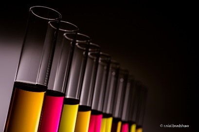 A row of test tubes contain liquids of different colors.