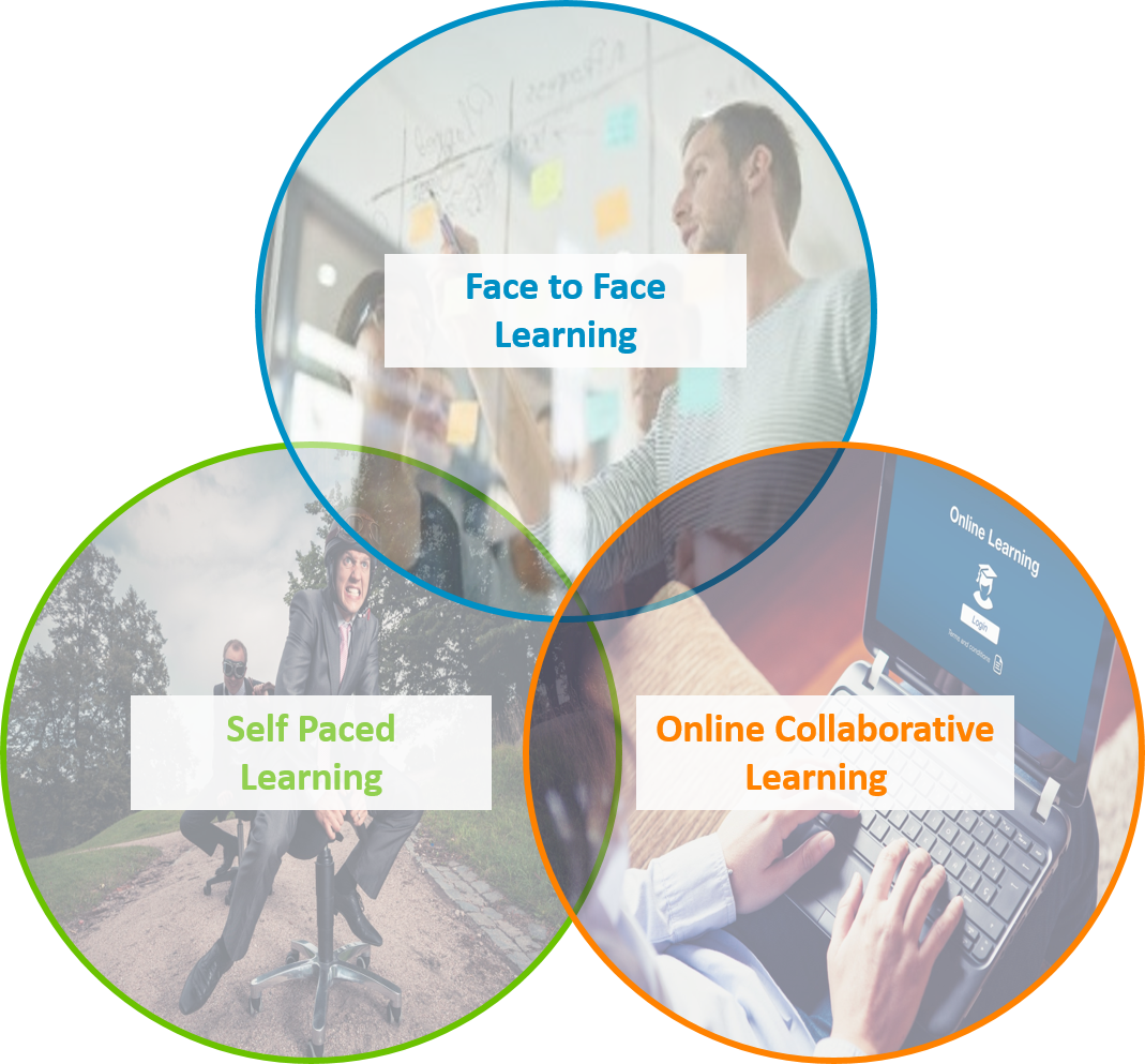 Elements of Blended Learning