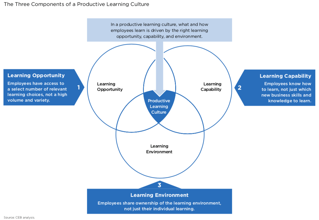 A chart examining the three components (learning opportunity, learning capability, and learning environment) of a productive learning culture.
