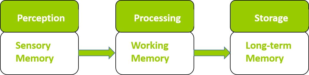 Graphic shows the three levels of memory: Perception for sensory; Processing for working; and Storage for long-term memory.