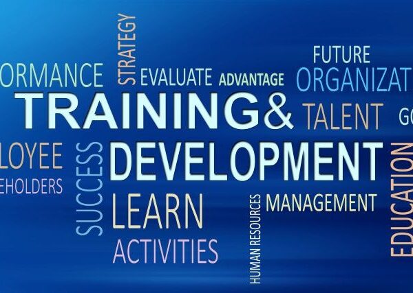 Light text against a blue background shows elements of training and development: performance, strategy, evaluate, learn, stakeholders, and more