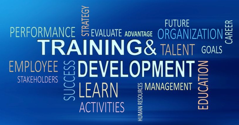 Light text against a blue background shows elements of training and development: performance, strategy, evaluate, learn, stakeholders, and more