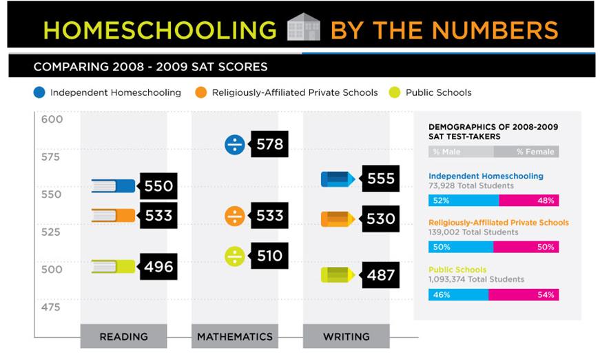 infographic with interesting styles and colors