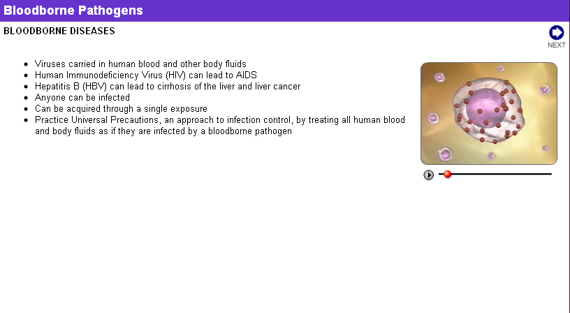 unattractive page with small text and small image