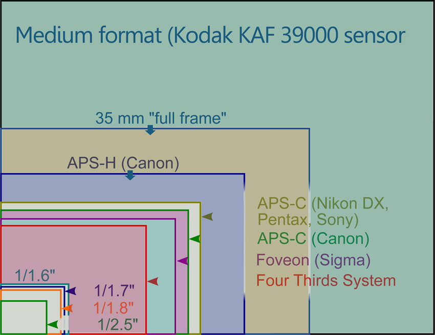 infographic on devices and their varied screensizes