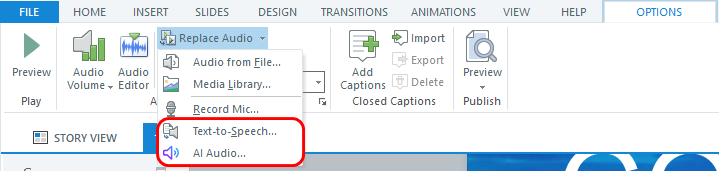 Screenshot of the audio generation dialog box.