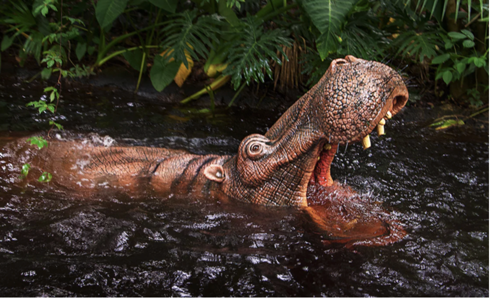 Oh no! It looks like the hippos are going to attack the boat. 