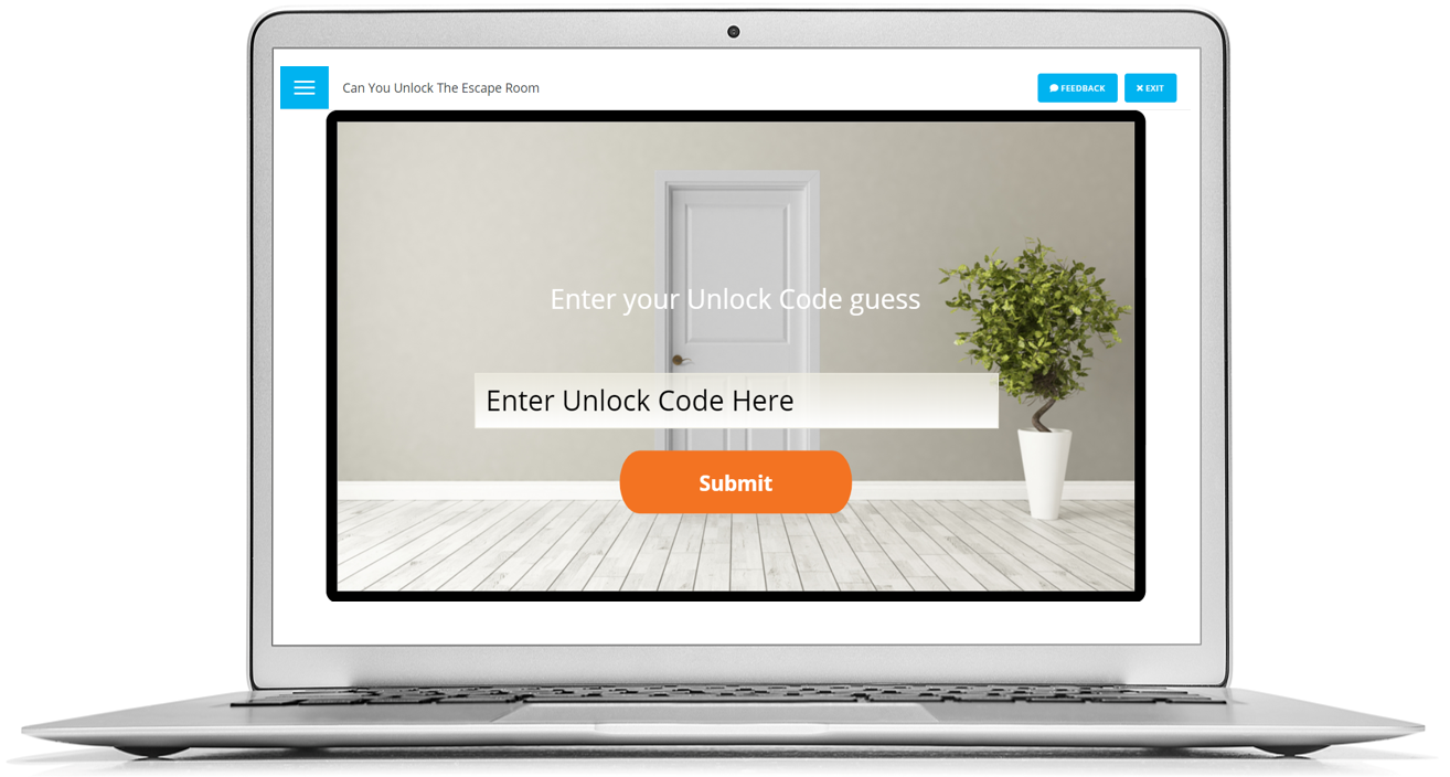 View from the facilitator's laptop