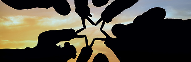 The Use of Analogy in eLearning, or Understanding ‘Blackstar’