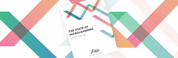 Guild Report Shares Expert Views on State of Microlearning