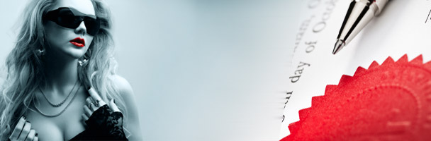 Drop Dead Gorgeous: How to Set Objective Standards for the Look and Feel of Your e-Learning.