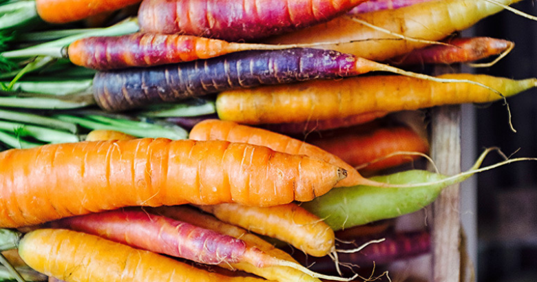 Carrots Aren’t Only Orange: The Constructivist Approach to Learning